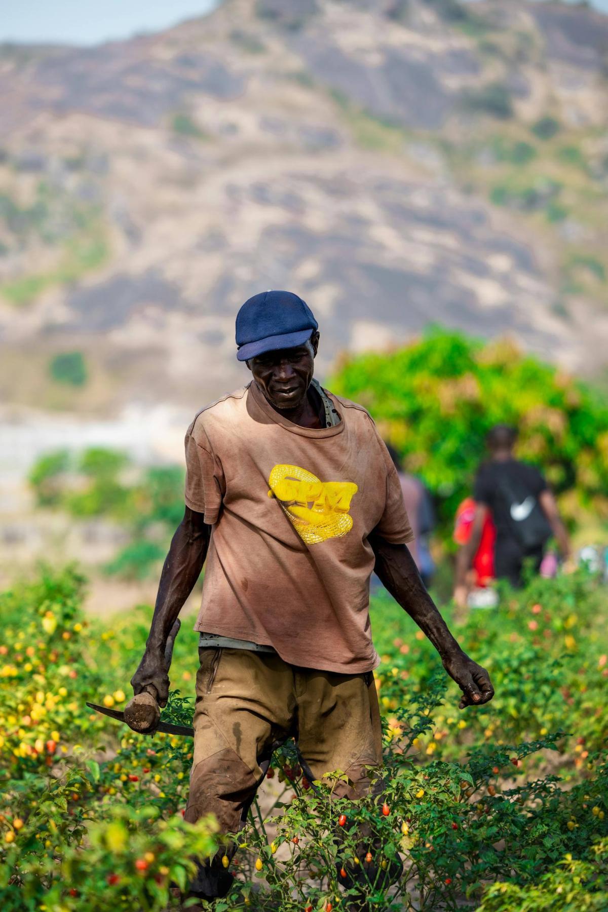 Souveraineté alimentaire : 10 pôles agroalimentaires territoriaux en projet